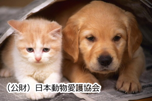 日本動物愛護協会